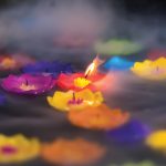 A photo of flowers floating in water.