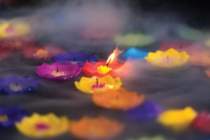 A photo of flowers floating in water.